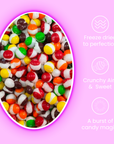 Freeze Dried Rainbow Candies