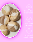 Freeze Dried Super Taffy | S'mores