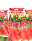 Theo's Wacky Watermelon (55 Pc) Watermelon Sugar Free Gum