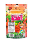 Theo's Wacky Watermelon (55 Pc) Watermelon Sugar Free Gum
