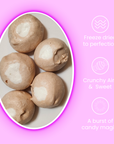 Freeze Dried Super Taffy | Root Beer Float