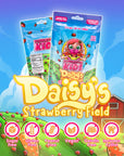 Daisy's Strawberry Field (55 Pc) Sugar Free Strawberry Gum