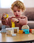 Animal Parade Blocks