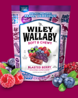 Wiley Wallaby Blasted Berry Licorice, 10oz Bag