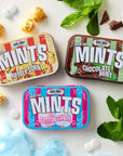Big Sky Brands - Fun Mix Variety Pack 48 ct