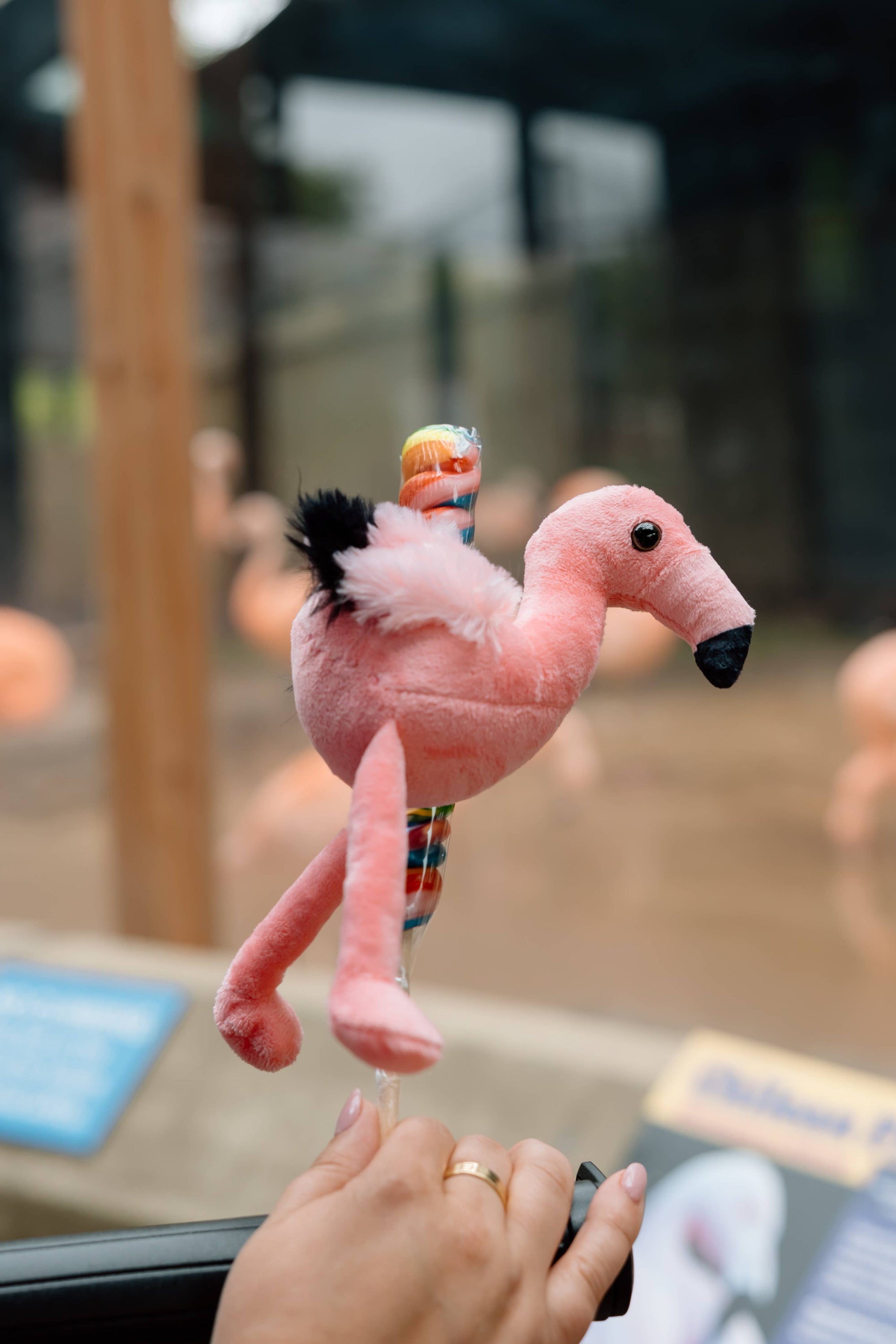 8&quot; (20cm) Lollyplush T Rex Dino w/14&quot; Rainbow Lollipop