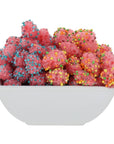 Freeze-Dried Gummy Clusters Candy Halloween Sweet Treats: Rainbow