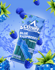 Candy Fun Street Blue Raspberry Twists 3.17oz